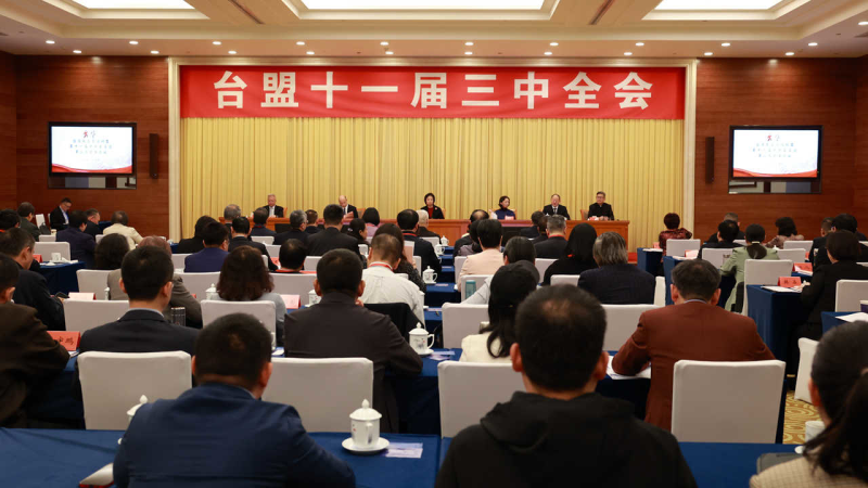 台盟十一届三中全会在京召开